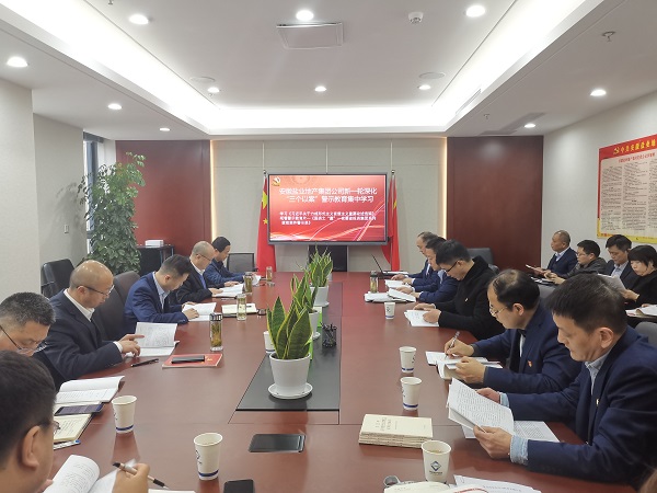 安徽尊龙凯时地产集团公司开展新一轮深化“三个以案”警示教育集中学习