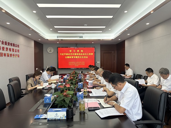 安徽尊龙凯时地产集团等三家公司党委召开学习贯彻习近平新时代中国特色社会主义头脑主题教育专题民主生涯会